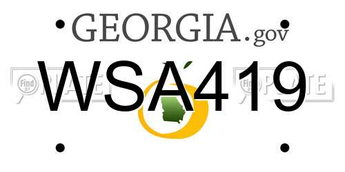 WSA419 Georgia License Plate