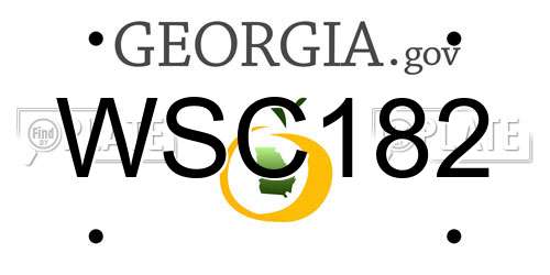 WSC182 Georgia License Plate