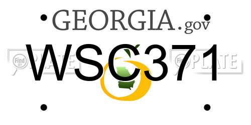 WSC371 Georgia License Plate