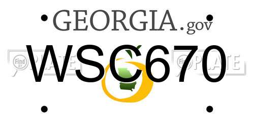 WSC670 Georgia License Plate