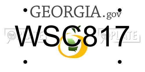 WSC817 Georgia License Plate