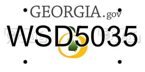 WSD5035 Georgia License Plate