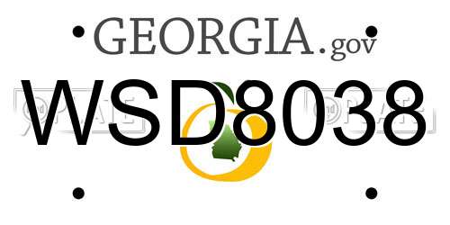 WSD8038 Georgia License Plate