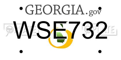 WSE732 Georgia License Plate