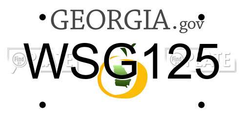 WSG125 Georgia License Plate