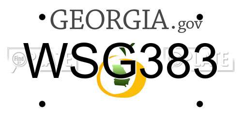 WSG383 Georgia License Plate