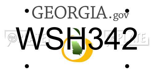 WSH342 Georgia License Plate