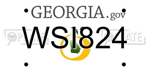 WSI824 Georgia License Plate