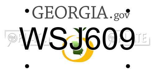 WSJ609 Georgia License Plate
