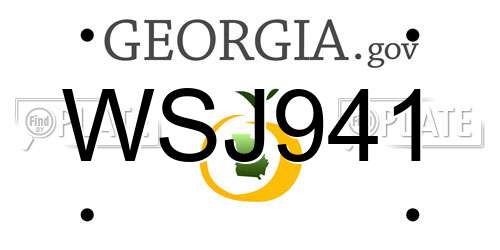 WSJ941 Georgia License Plate
