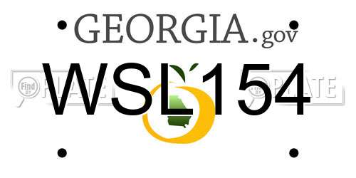 WSL154 Georgia License Plate