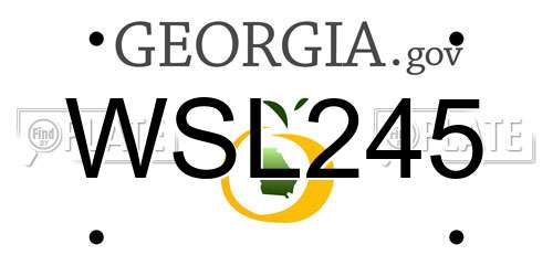 WSL245 Georgia License Plate