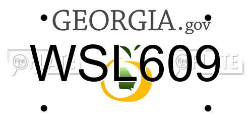 WSL609 Georgia License Plate