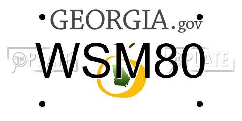 WSM80 Georgia License Plate