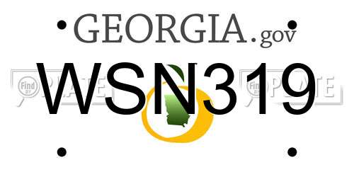 WSN319 Georgia License Plate