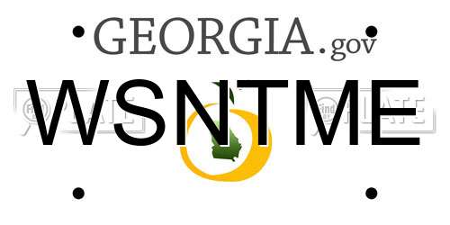 WSNTME Georgia License Plate