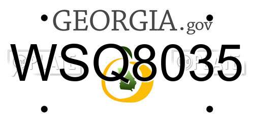 WSQ8035 Georgia License Plate