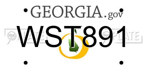 WST891 Georgia License Plate