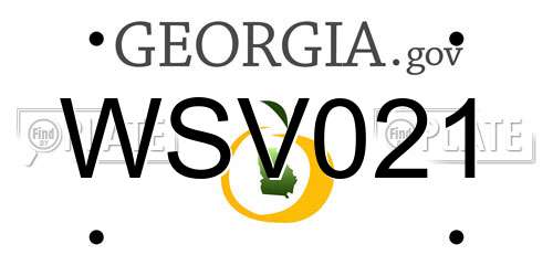 WSV021 Georgia License Plate