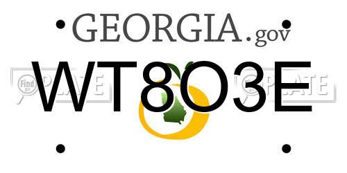 WT8O3E Georgia License Plate