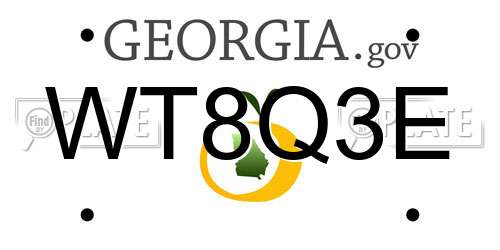 WT8Q3E Georgia License Plate