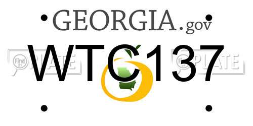 WTC137 Georgia License Plate