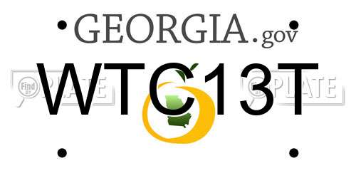 WTC13T Georgia License Plate