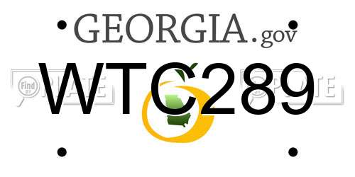 WTC289 Georgia License Plate