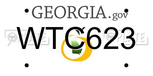 WTC623 Georgia License Plate