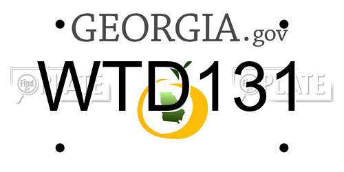 WTD131 Georgia License Plate