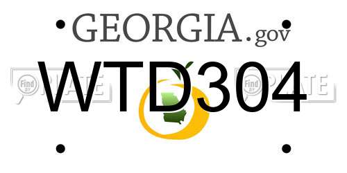 WTD304 Georgia License Plate