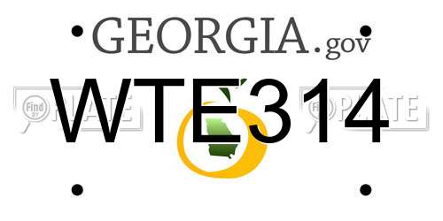 WTE314 Georgia License Plate