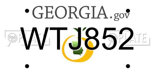 WTJ852 Georgia License Plate