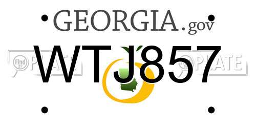 WTJ857 Georgia License Plate