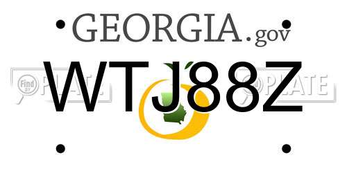 WTJ88Z Georgia License Plate