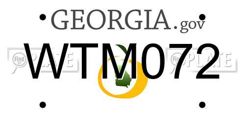 WTM072 Georgia License Plate