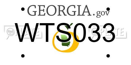 WTS033 Georgia License Plate