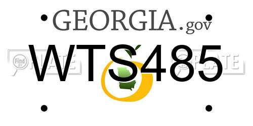 WTS485 Georgia License Plate