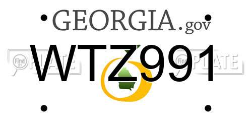 WTZ991 Georgia License Plate