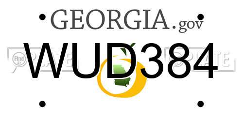 WUD384 Georgia License Plate