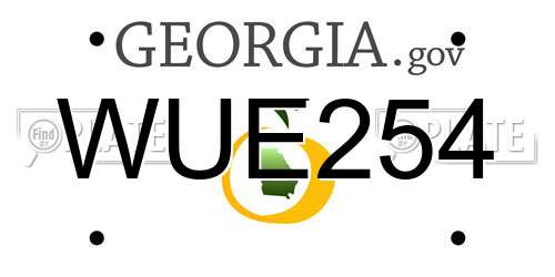 WUE254 Georgia License Plate
