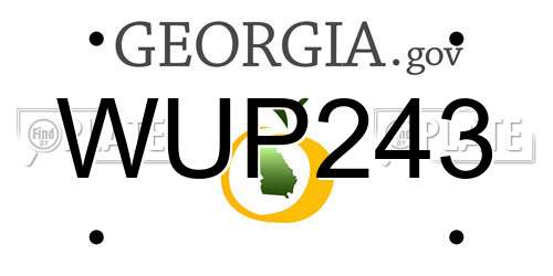 WUP243 Georgia License Plate