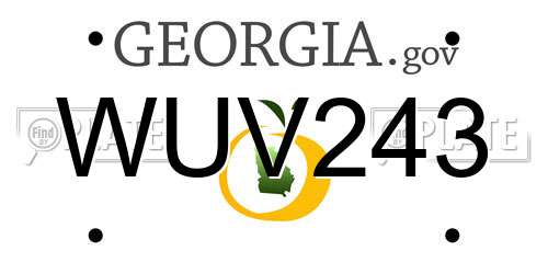 WUV243 Georgia License Plate