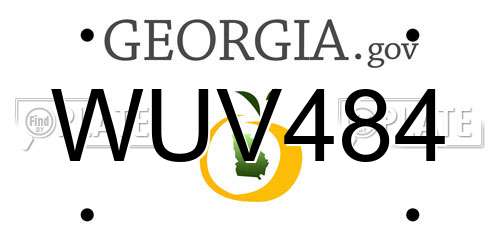 WUV484 Georgia License Plate
