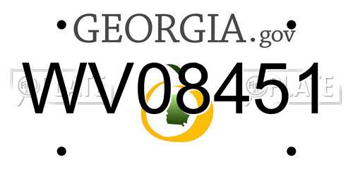WV08451 Georgia License Plate
