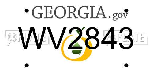 WV2843 Georgia License Plate