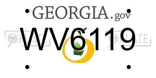 WV6119 Georgia License Plate