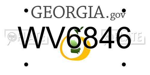 WV6846 Georgia License Plate