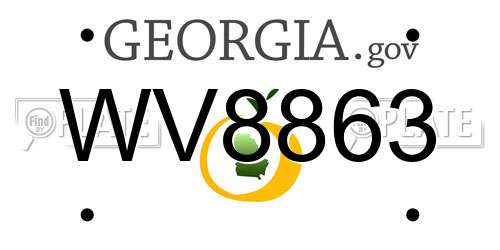 WV8863 Georgia License Plate