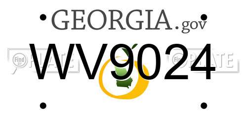 WV9024 Georgia License Plate